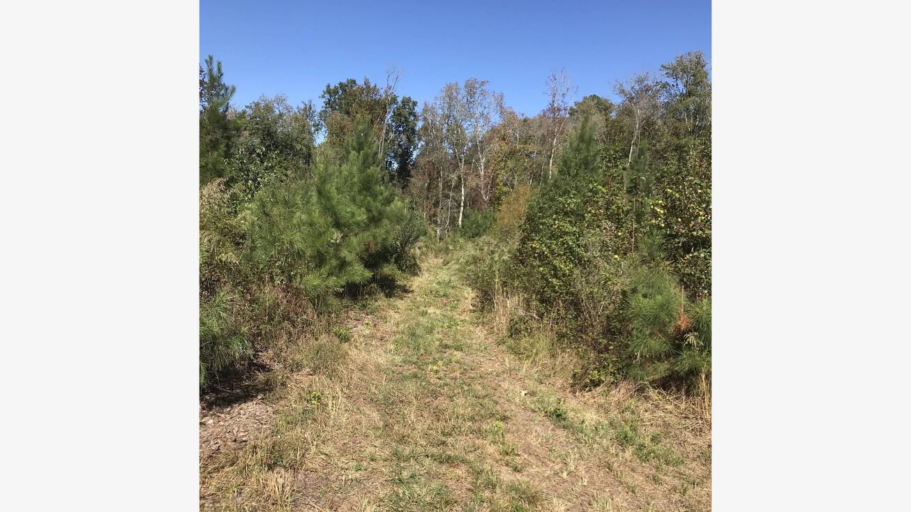 Granite Falls Blvd, Rolesville, NC 27571