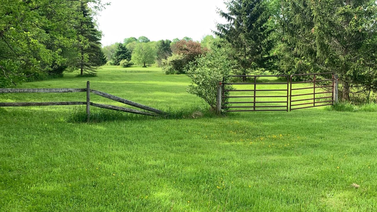 NY16, Franklinville, US 14737 Land for Sale NYS Route 16