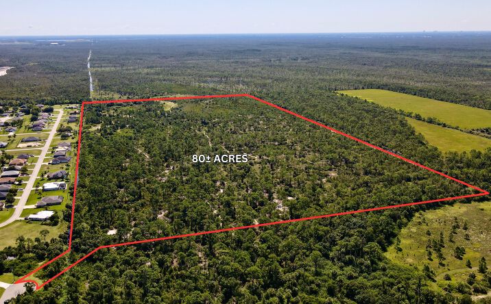 Pictures of Land property located at 17050 Burnt Store Rd, Punta Gorda, FL 33955 for sales - image #1