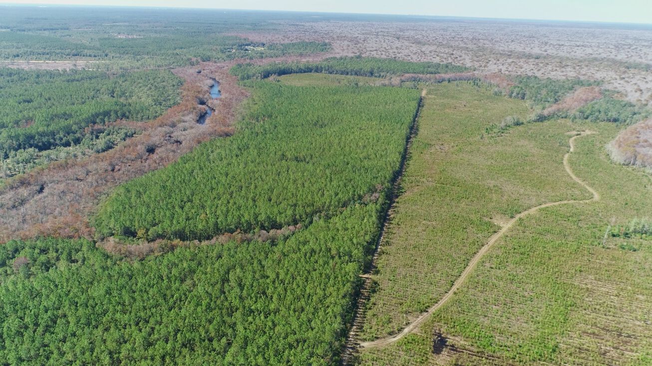 Otter Creek Bridge Rd, Ebro, FL 32437