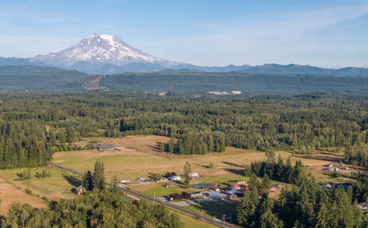 Pictures of Mixed Use, Land, Special Purpose property located at 12314 264th St E, Graham, WA 98338 for sales - image #1