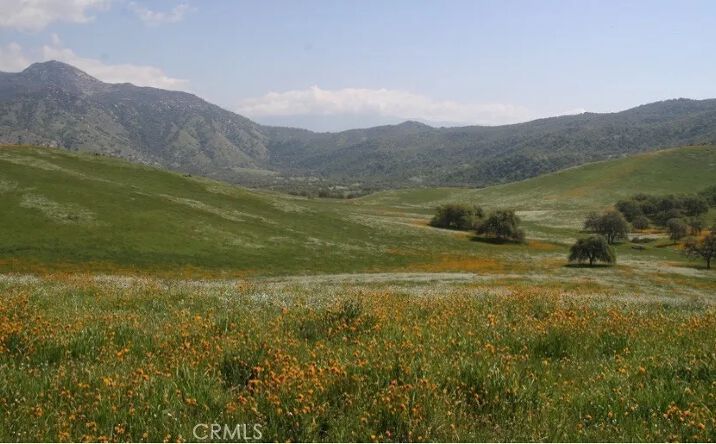 Pictures of Land property located at 5570 Caliente Bodfish, Unknown, CA 93518 for sales - image #1
