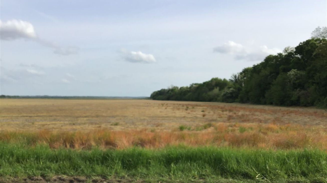 Lot 3 Highway 104 West, Dyersburg, TN 38024