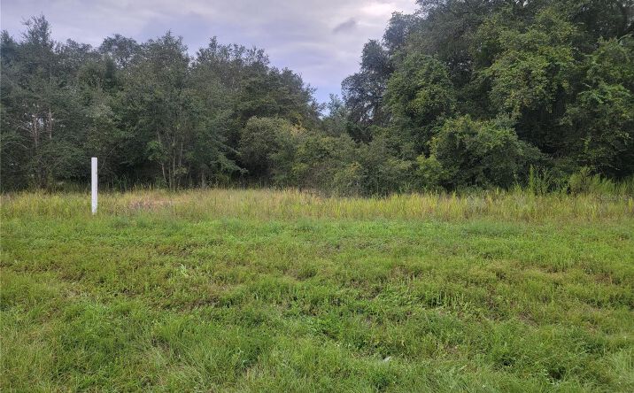 image of property at 16286 US-441 Summerfield FL 34491