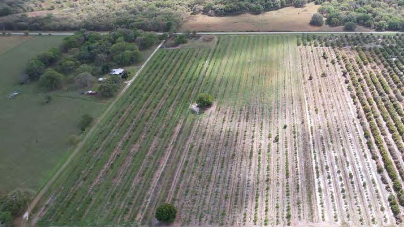 Goose Pond Rd, Ona, FL 33865