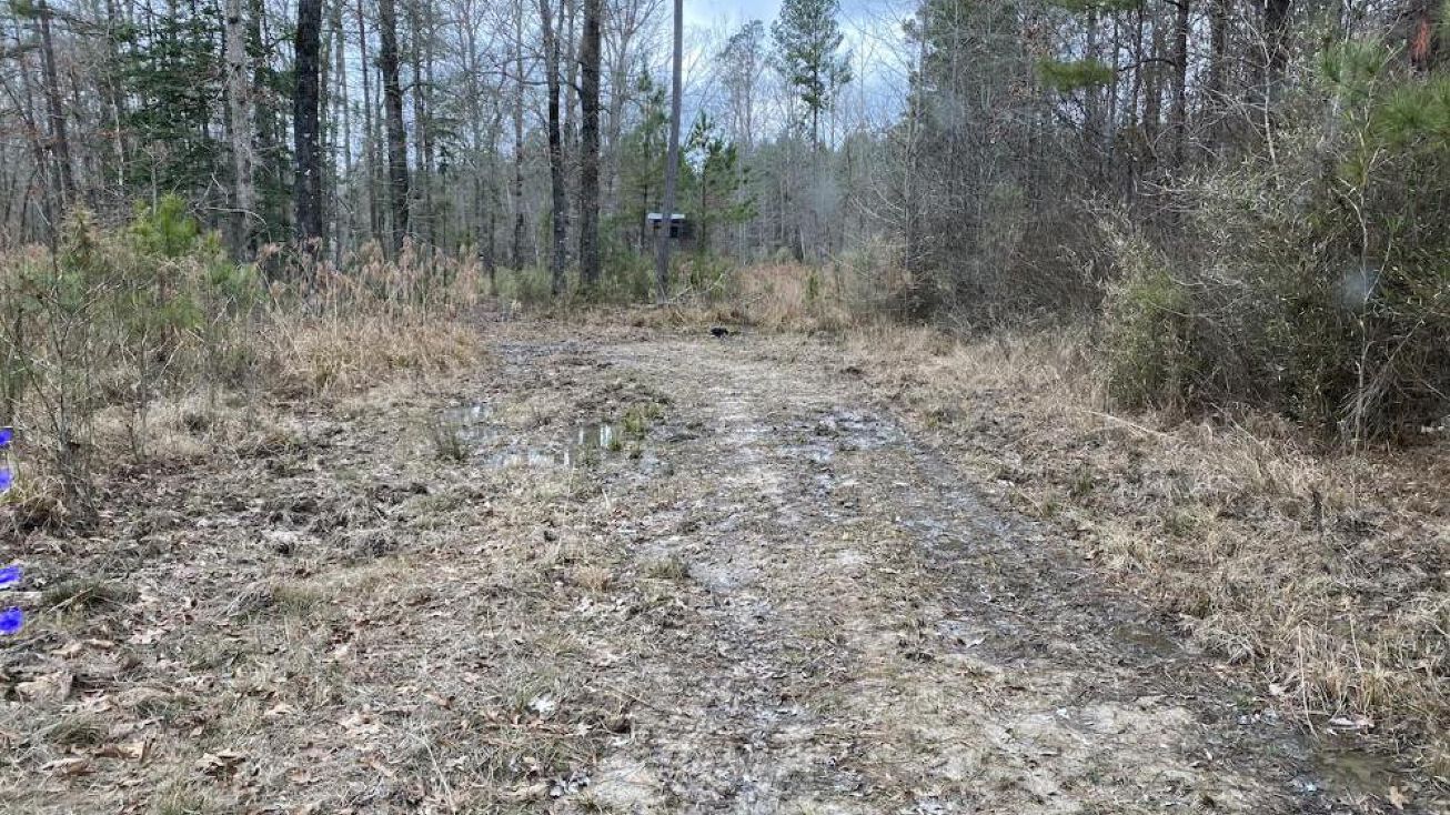 Gheenee Tract, Fordyce, AR 71742 Land for Sale Gheenee Tract