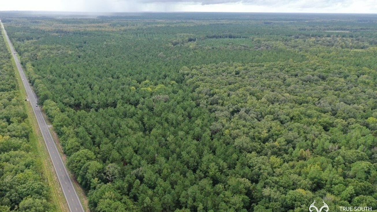 9047 S Coastal Hwy, Riceboro, GA 31323