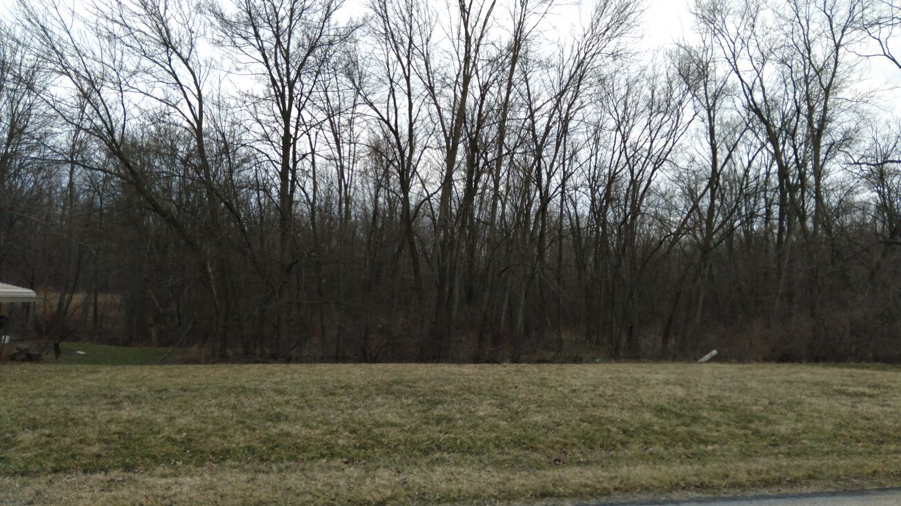 41246 Beechwood Dr, Elyria, OH 44035