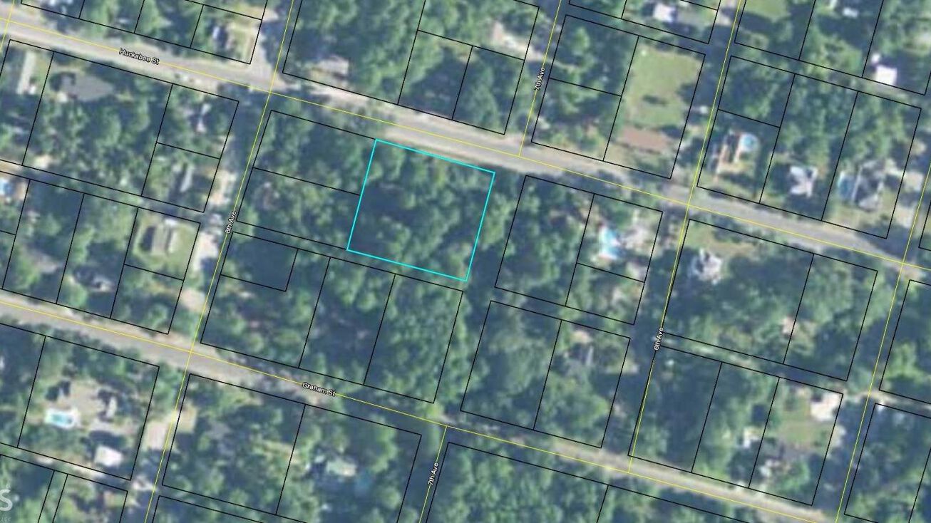 130 W Graham St, McRaeHelena, GA 31055