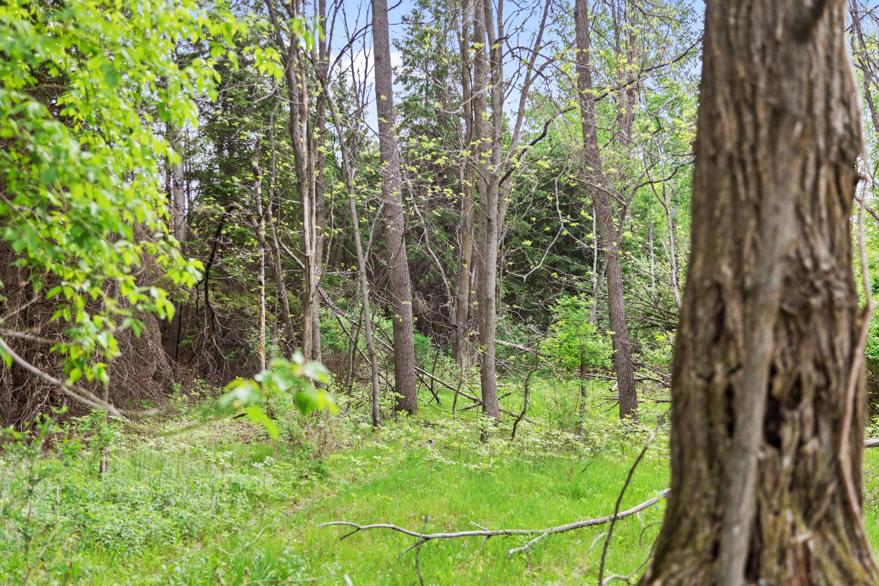 4040 Creekside Dr, Traverse City, MI 49684