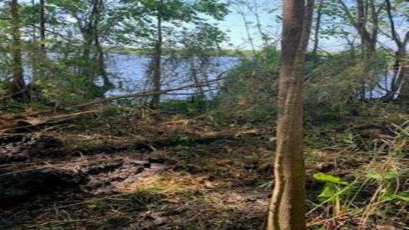 00 FL 17, East Palatka, FL 32131 Land for Sale St. Johns River