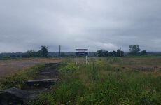 24627007