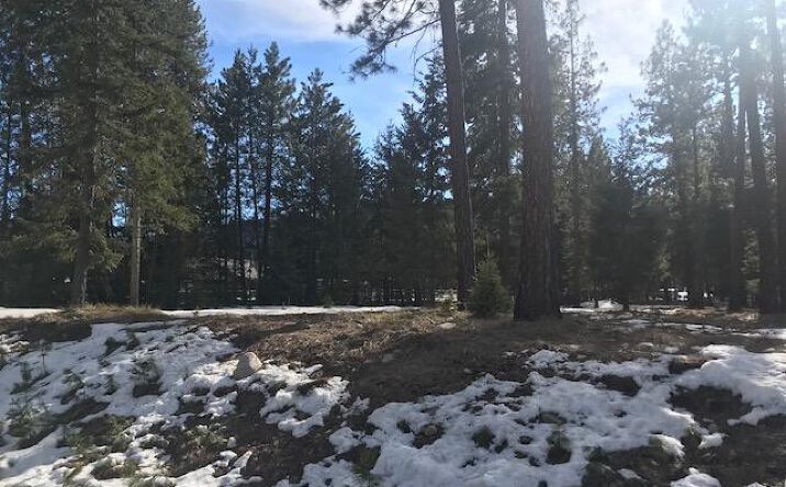 Pictures of Land property located at 11 River Run Loop, Saint Regis, MT 59866 for sales - image #1