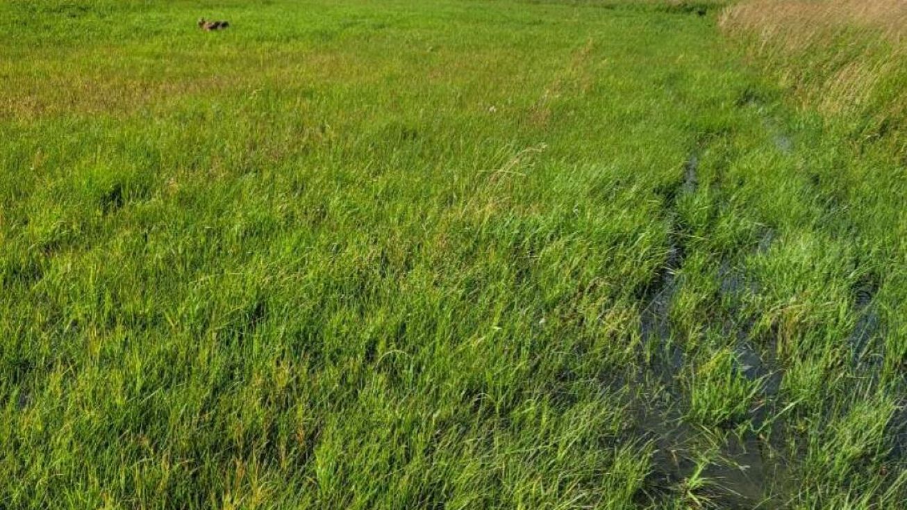 12704 Hwy 200, Simms, MT 59477 Land for Sale 12704 Hwy 200