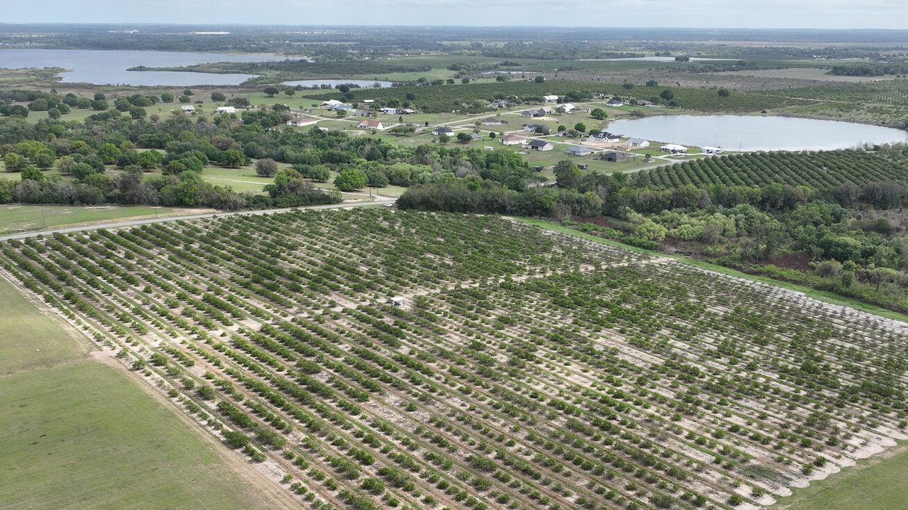 Cox Rd, Bartow, FL 33830 Land for Sale Cox Road Grove