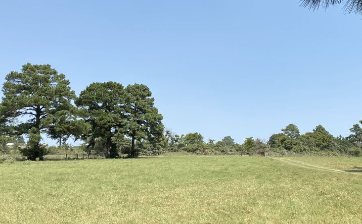 Pictures of Land property located at 5222 County Rd 306, Navasota, TX 77868 for sales - image #1