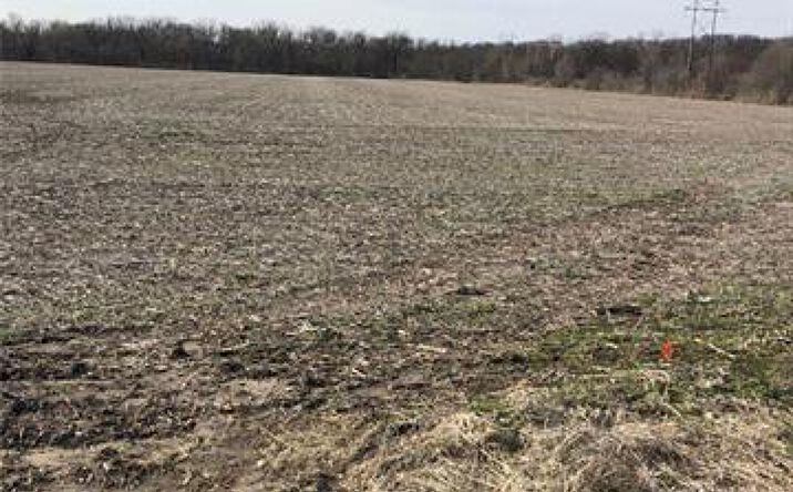 Pictures of Land property located at Blue Mills Road, Independence, MO 64058 for sales - image #1