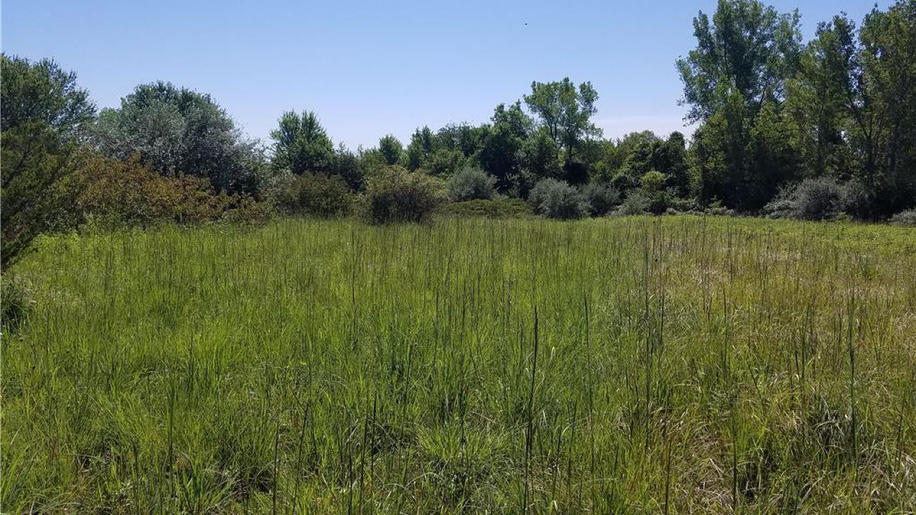 W 239th Street, Louisburg, KS 66053