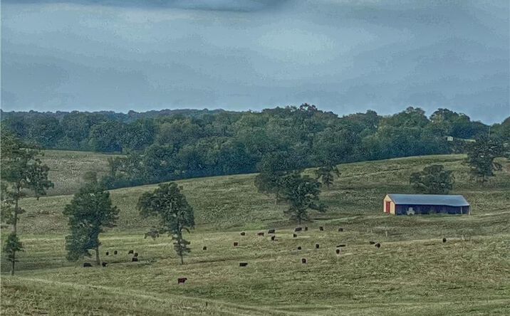 image of property at 34019 HIGHWAY PP Warsaw MO 65355-5064