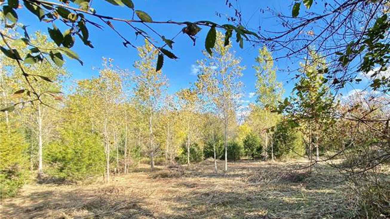 00000 206th Street, Linwood, KS 66052