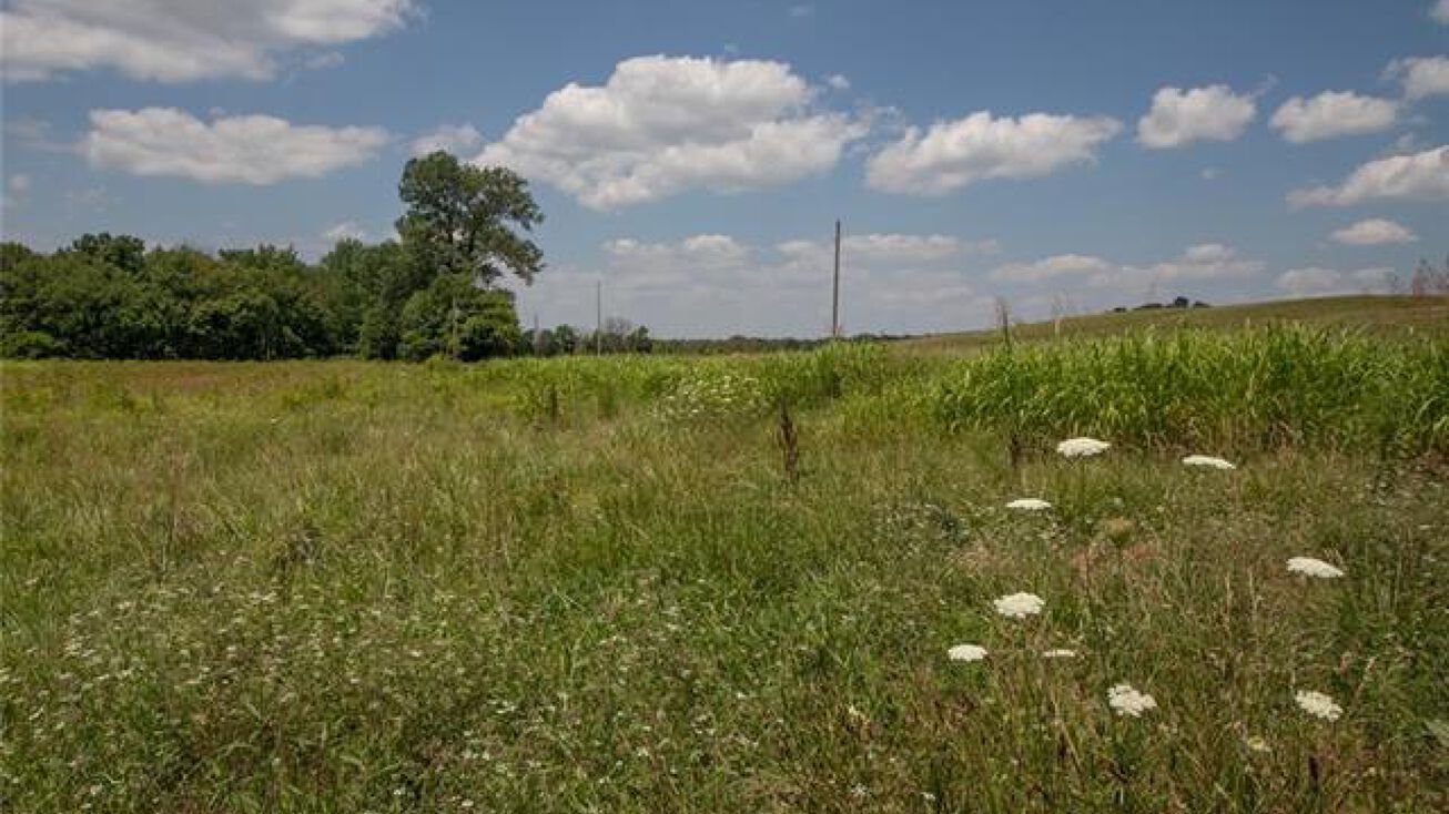 9960 Shach Creek Road, Orrick, MO 64077