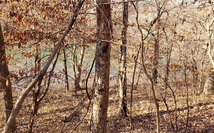 Pictures of Land property located at 6004 West Shore Court, Parkville, MO 64152 for sales - image #1