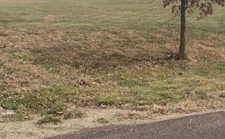 Pictures of Land, Multifamily property located at 25030 177th Terrace, Leavenworth, KS 66048 for sales - image #1