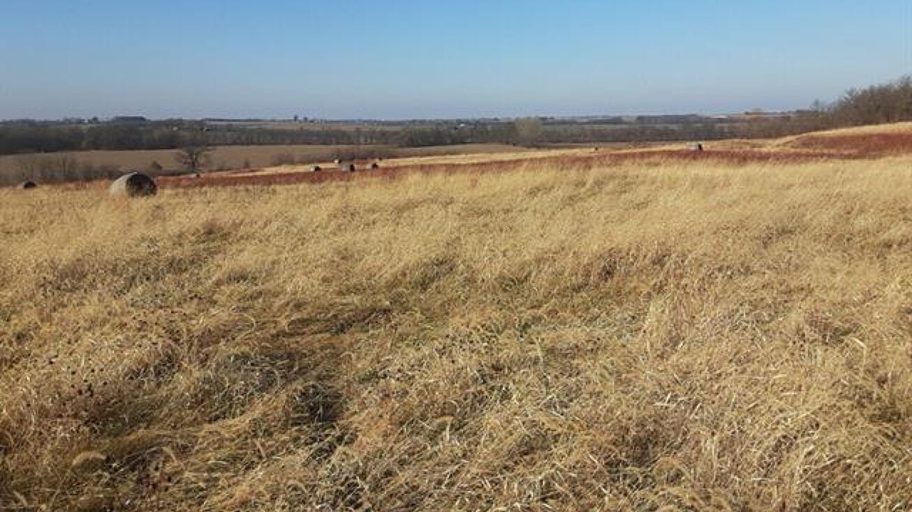 Poplar Road, Higginsville, MO 64037