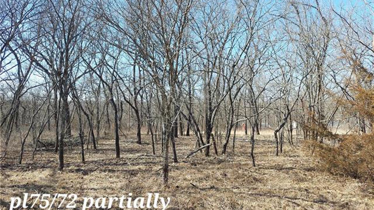 66 E Lakeview Drive, Lacygne, KS 66040