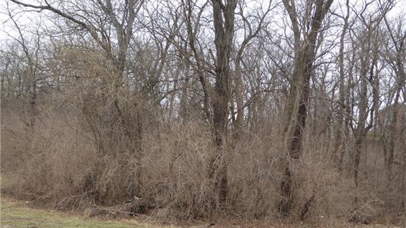 3408 S Saddle Ridge Drive, Independence, MO 64057 Land for Sale