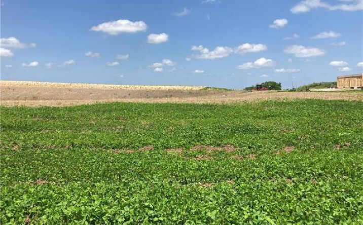 Pictures of Land, Multifamily property located at 4730 Woodland Court, St Joseph, MO 64505 for sales - image #1