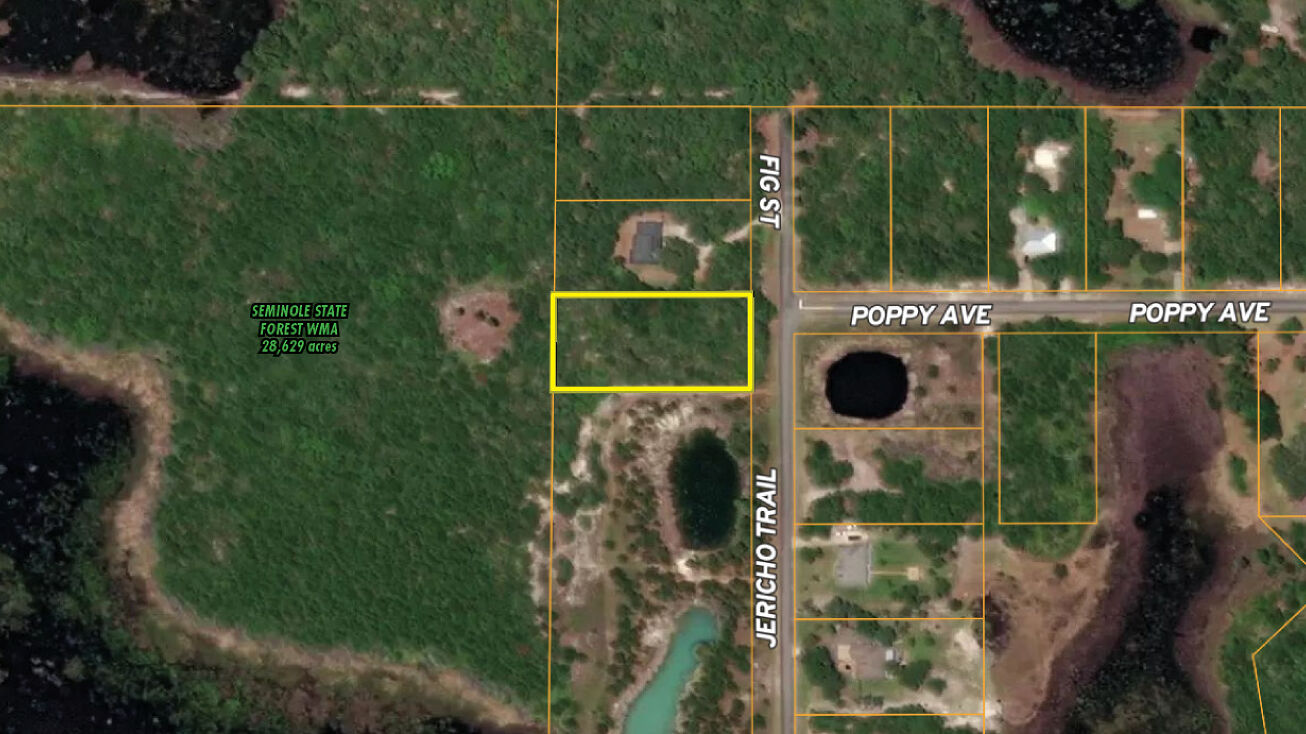 Jericho Trail, Eustis, FL 32736