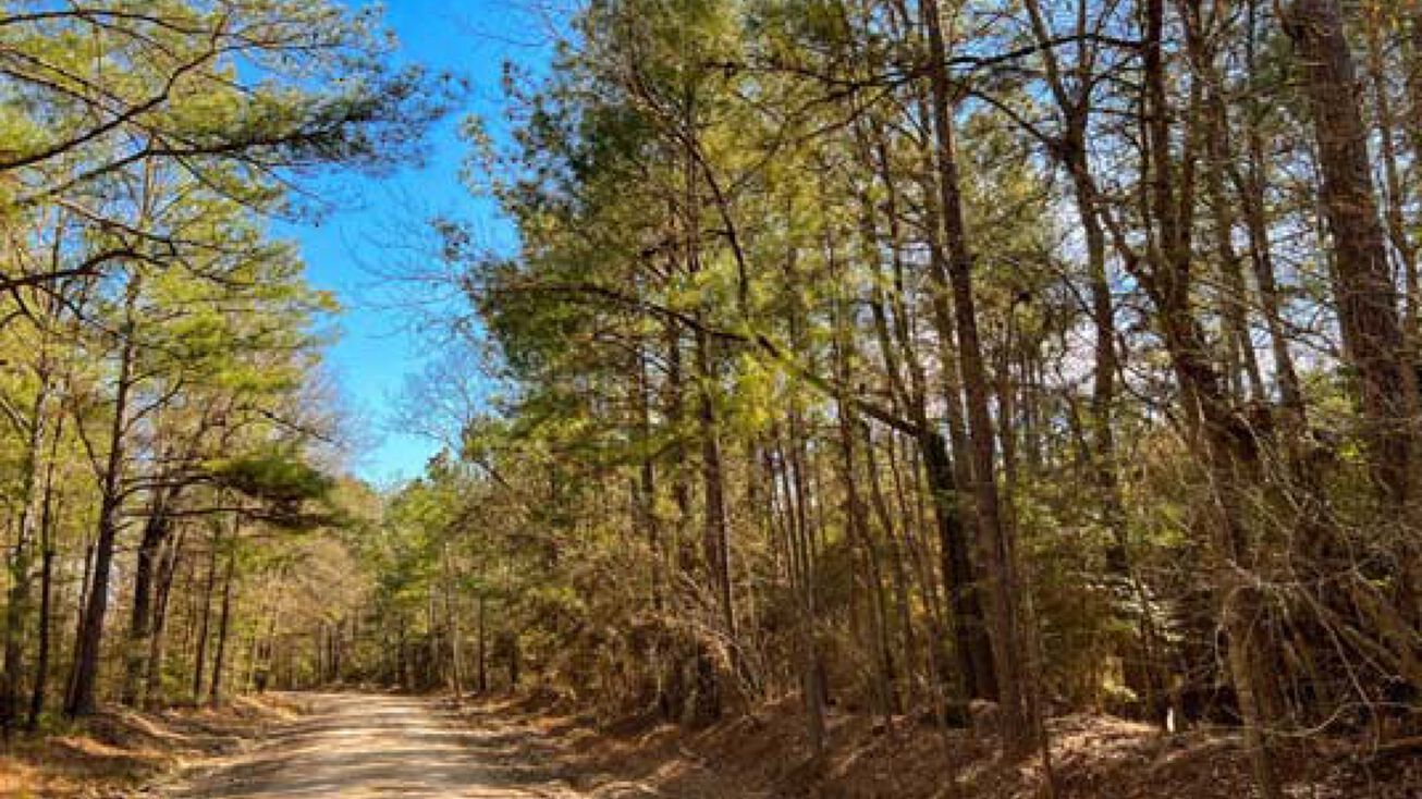 Union Springs Rd, Corrigan, TX 75939 Land for Sale 36 Acres Paces