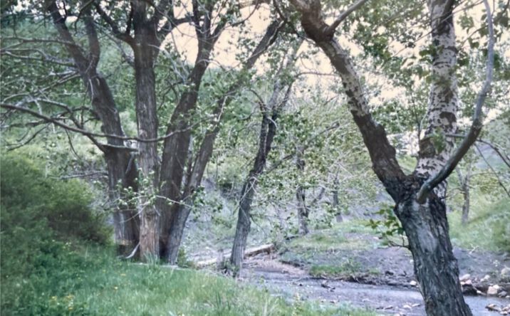 Pictures of Land property located at Nhn Two Medicine River, East Glacier Park, MT 59434 for sales - image #1