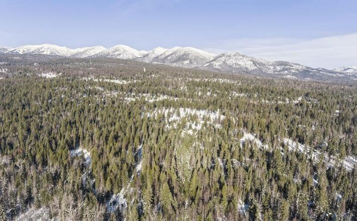 Pictures of Land property located at 635 Kaeding Creek Road, Whitefish, MT 59937 for sales - image #1