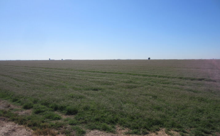 Pictures of Land property located at East Albright Road, Calipatria, CA 92233 for comps - image #1