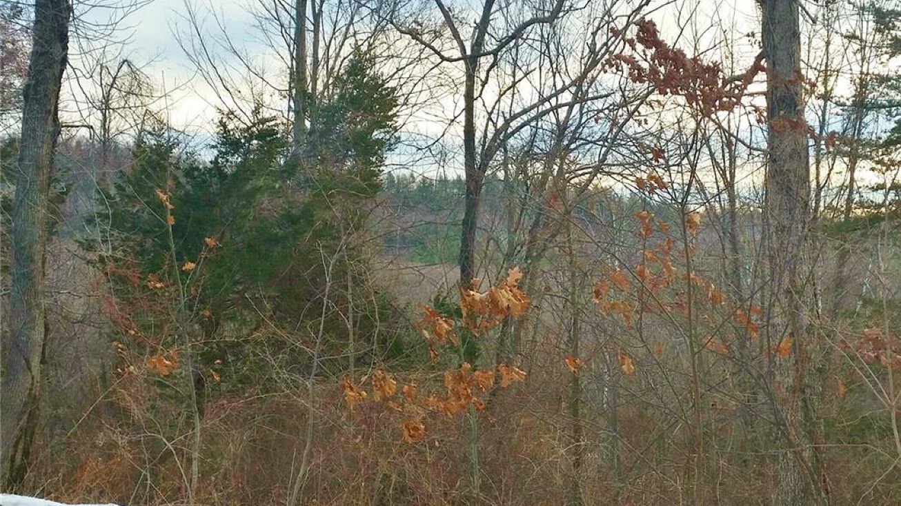 251 Gracey Road, Canton, CT 06019 Land for Sale 251 Gracey Road