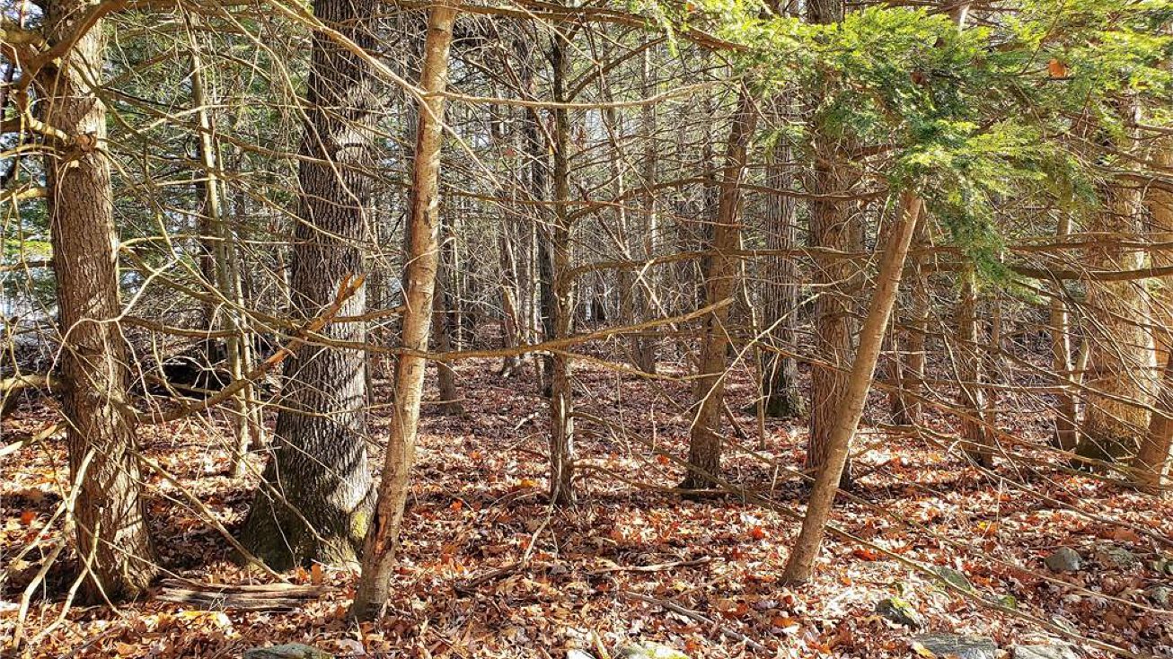 26 Valley Field Rd S, Newtown, CT 06482 Land for Sale 26 Valley