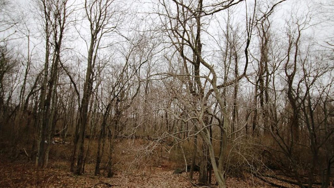 65 Buckout Rd, West Harrison, NY 10604