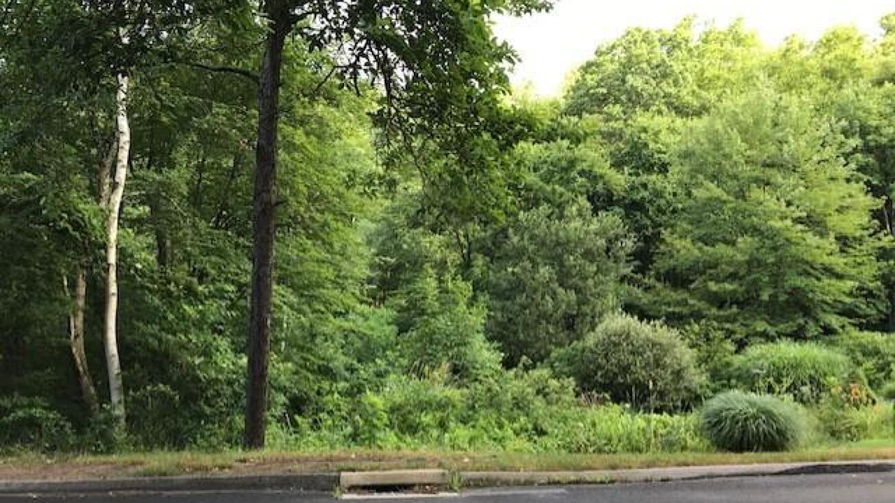 81 West Rd, Marlborough, CT 06447 Land for Sale 81 West Road