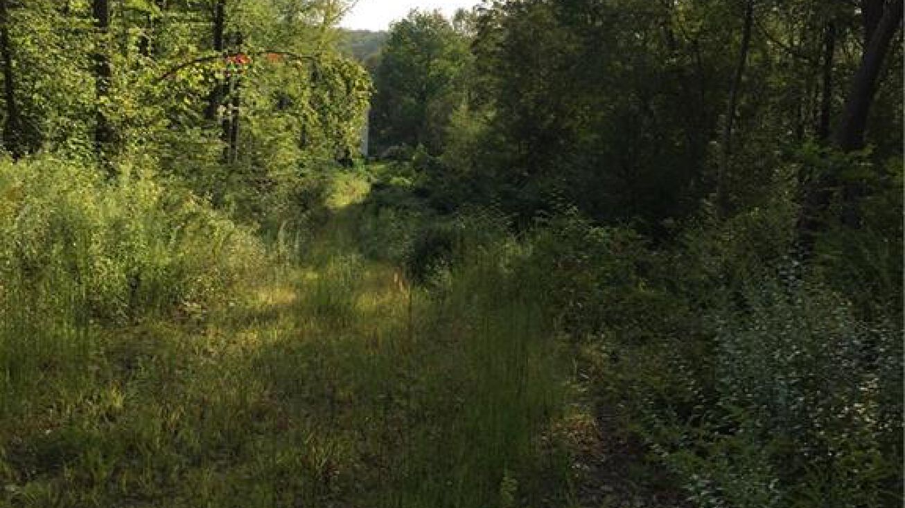 168 Turkey Hill Rd, Haddam, CT 06438 Land for Sale 168 Turkey Hill Road