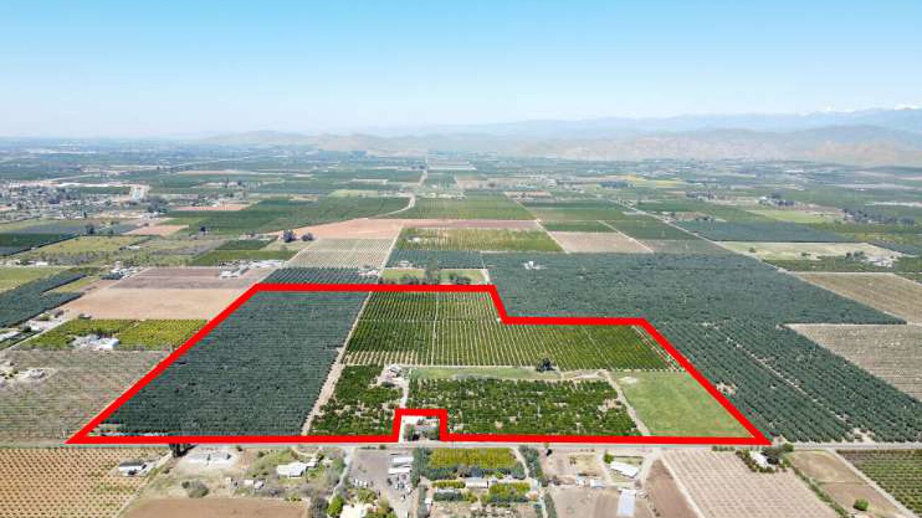 Ave 184, Porterville, CA 93257 Land for Sale +/76.87 Ac. Citrus