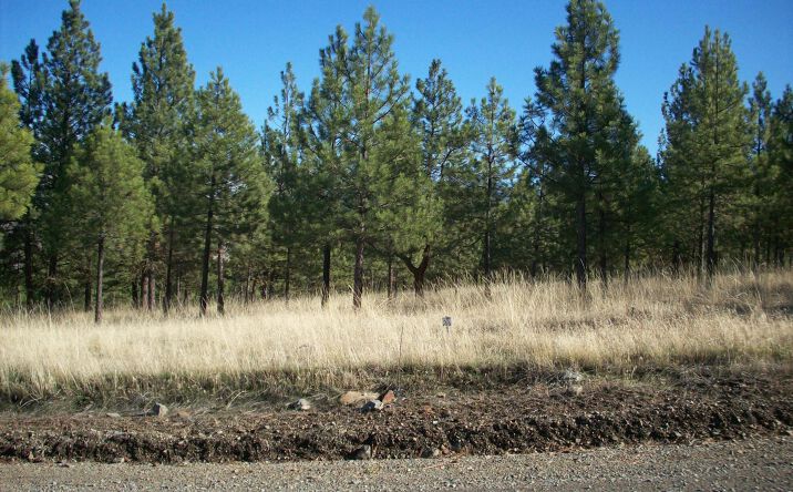 Pictures of Land property located at Lot 24 Leiber Lane, Plains, MT 59859 for sales - image #1