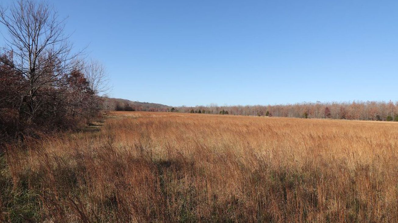 00 Miller Creek Road, Moorefield, AR 72501