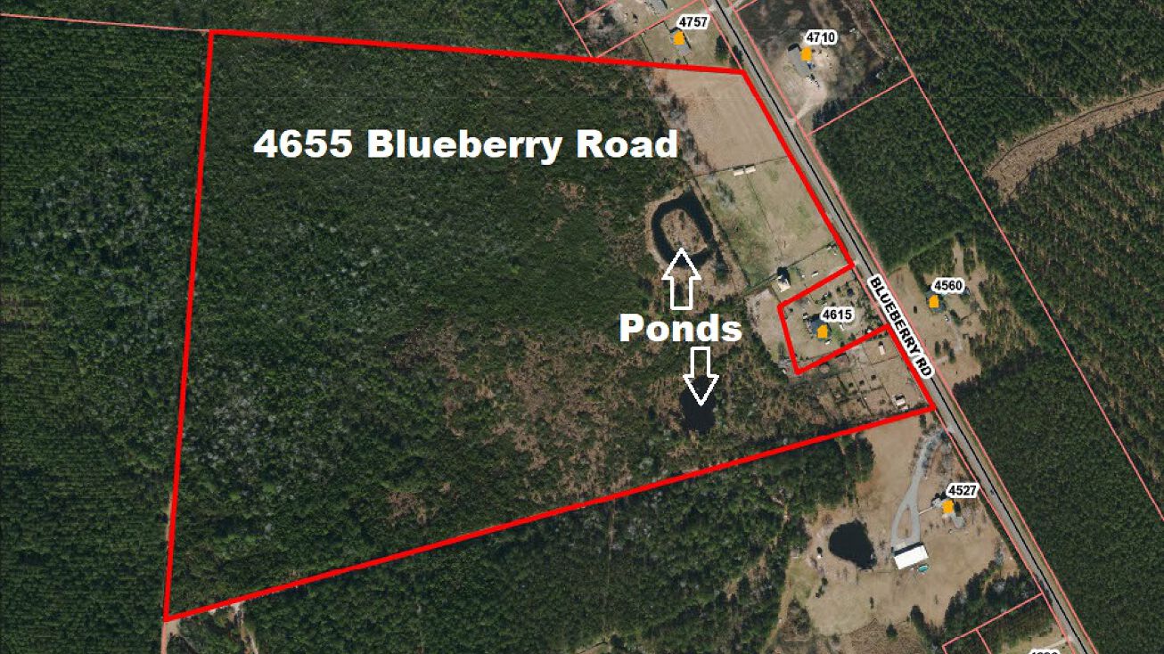 4655 Blueberry Rd, Currie, NC 28435