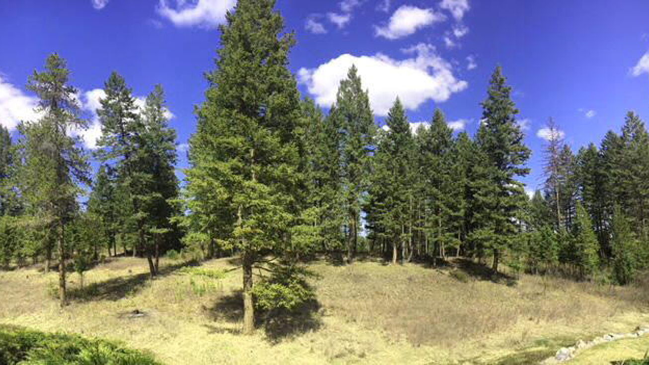 115 Autumn Court, Whitefish, MT 59937 Land for Sale 115 Autumn Court