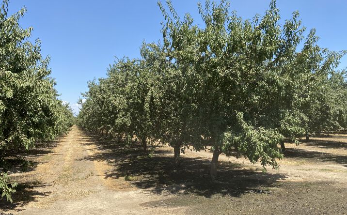 Pictures of Land property located at 16029 Ave 136, Tipton, CA 93272 for sales - image #1