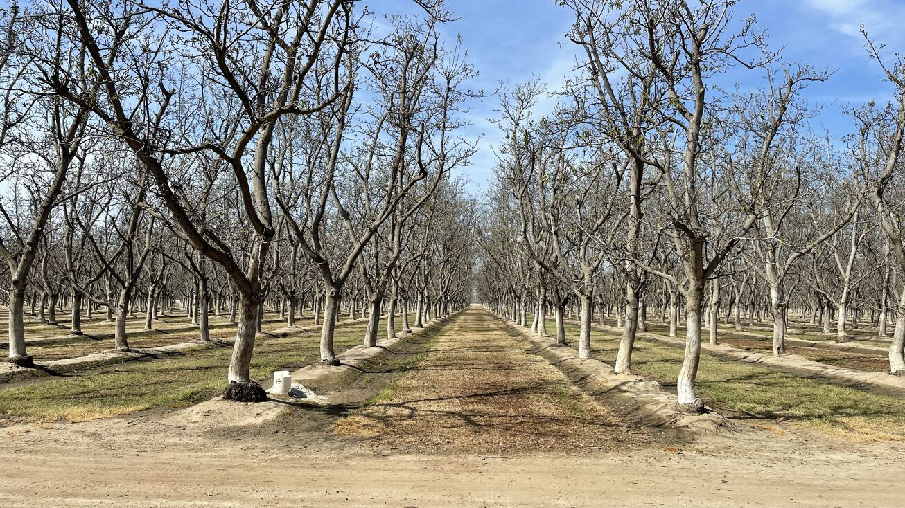 24251 Rd 148, Tulare, CA 93274