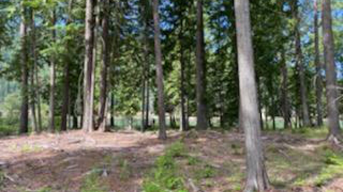 Nhn Alpinestars Drive, Noxon, MT 59853