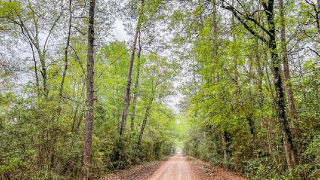 T2 Bragg Road, Kountze, TX 77625